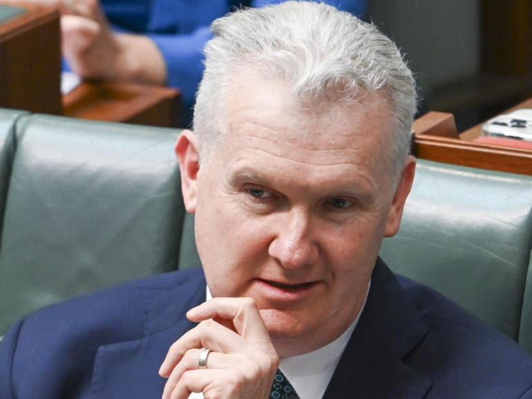 Home Affairs Minister Tony Burke