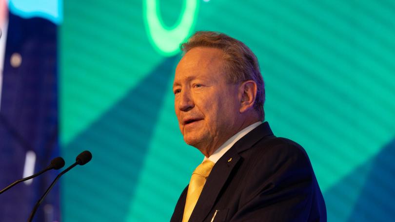 Dr Andrew Forrest at Fortescue's annual general meeting Andrew Ritchie