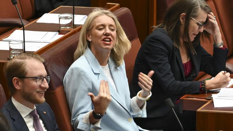 Coalition senator Bridget McKenzie reportedly failed to declare more than a dozen free flight upgrades.