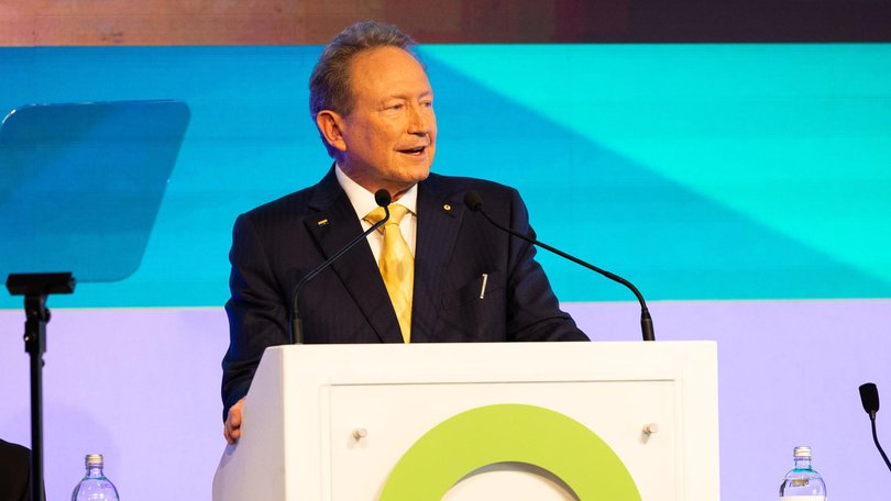 Dr Andrew Forrest at Fortescue's annual general meeting Andrew Ritchie