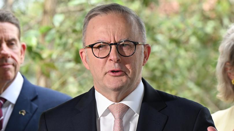 Anthony Albanese has called for backing for new immigration laws.