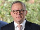 Anthony Albanese has called for backing for new immigration laws.