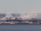 The grass fire at Sydney Airport.