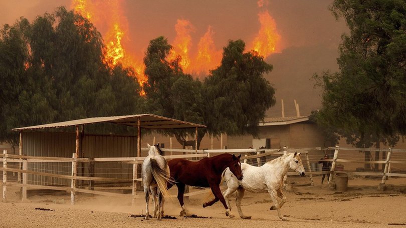 The southern California blaze has burned over 8000 hectares, fuelled by abundant grass and scrub.