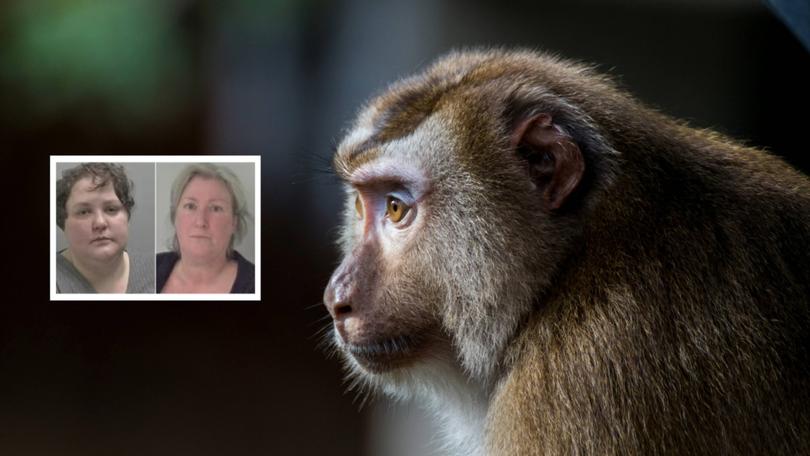 Holly LeGresley, 37, and pet-owning grandmother Adriana Orme, 56, joined online chat groups which encouraged torture of macaques by offenders based in Indonesia.