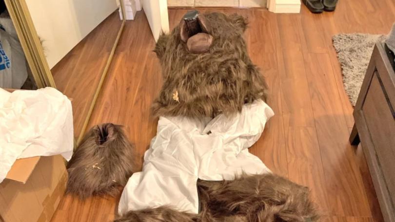 Fake bear costumes were used in the scam.