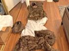 Fake bear costumes were used in the scam.