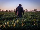 A new report has recommended tax incentives for farmers and small businesses that donate to food banks but the plan may face opposition from the Government.