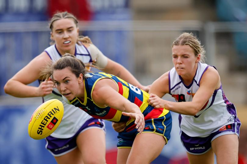 ADELAIDE, AUSTRALIA - NOVEMBER 16: Niamh Kelly of the Crows and Dana East of the Dockers compete for the ball during the 2024 AFLW First Semi Final match between the Adelaide Crows and the Fremantle Dockers at Norwood Oval on November 16, 2024 in Adelaide, Australia. (Photo by Dylan Burns/AFL Photos) Dylan Burns