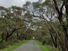 A person has died and another has been left fighting for life after a car smashed into a tree south-east of Ballarat.