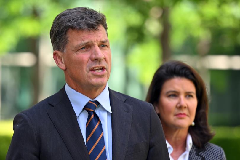 Shadow Treasurer Angus Taylor and Shadow Minister for Finance Jane Hume at a press conference at Parliament House in Canberra, Thursday, November 21, 2024. (AAP Image/Mick Tsikas) NO ARCHIVING