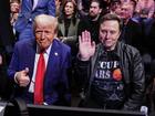 President-elect Donald Trump and Elon Musk pose for a photo during the UFC 309 event at Madison Square Garden on November 16.