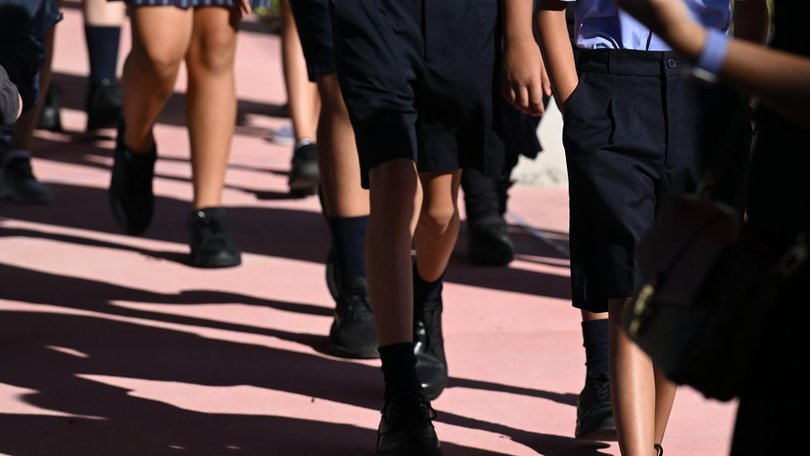 An Australia-wide study has been ordered into school bullying.