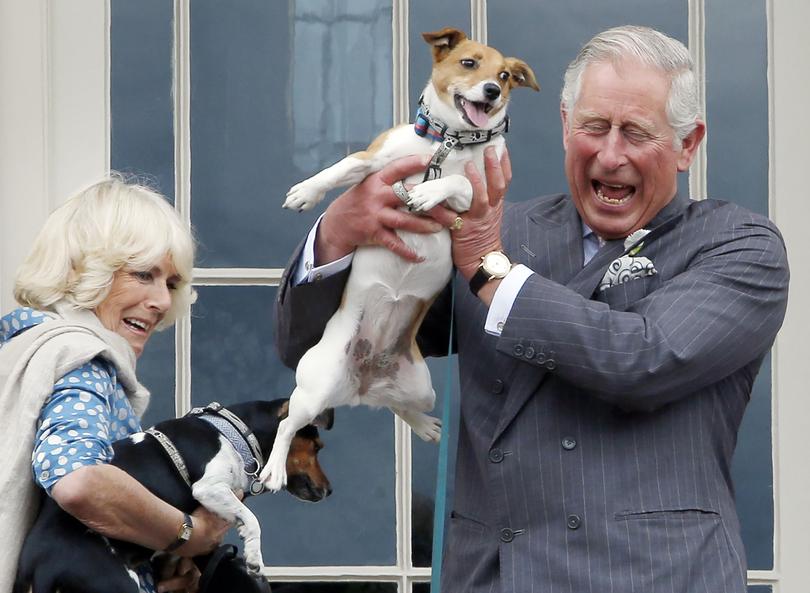 King Charles III and Queen Camilla (then the Prince of Wales and Duchess of Cornwall) holding her dogs Beth (left) and Bluebell.