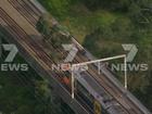 Trains have been stopped in Sydney due to a fallen tree.