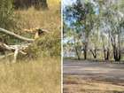 A man was driving through a camping area near the Loop Track in Yarrawonga when he died. 