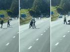 A truck driver has captured footage of a dramatic arrest of a woman holding a machete on a highway.