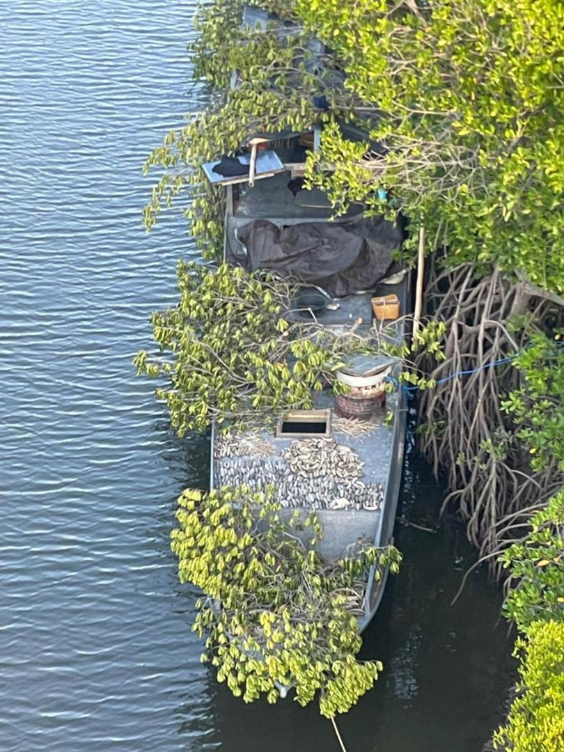 An Indonesian fishing boat carrying hidden among mangroves just off Arnhem Land.