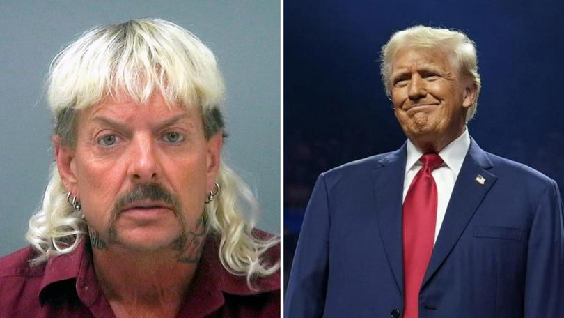 Felon to felon: Joe Exotic seeks pardon from President-elect Donald Trump.