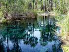 Bitter Springs in Elsey National Park was closed on Friday by Northern Territory Parks and Wildlife following a reported crocodile sighting.