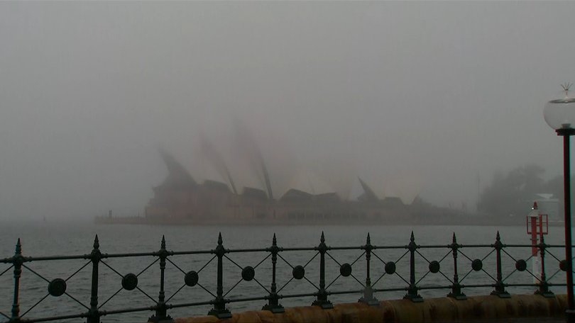 The Bureau of Meteorology predicts 10mm to 35mm of rain will fall in Sydney in the remaining hours of Saturday