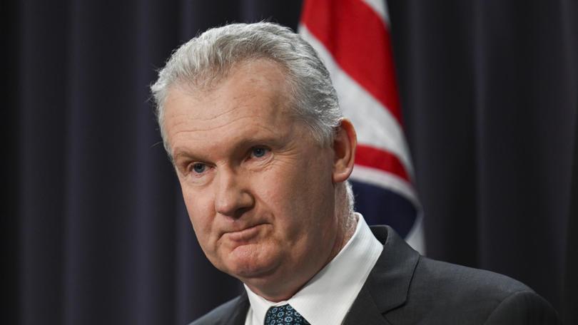 Tony Burke