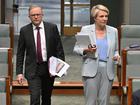 Anthony Albanese denies there is rift between himself and Tanya Plibersek after he spiked her federal EPA deal.