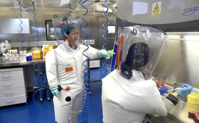 A lab at the Wuhan Institute of Virology in Wuhan.