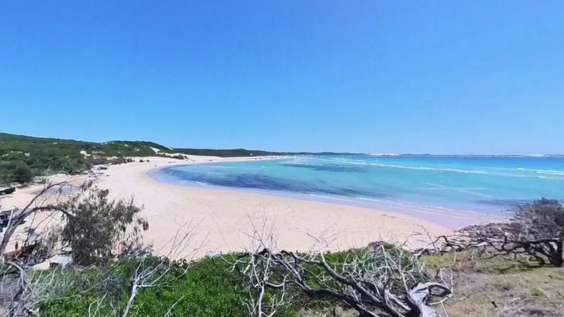 A woman was caught on dashcam giving food to a young dingo at an island tourist destination.