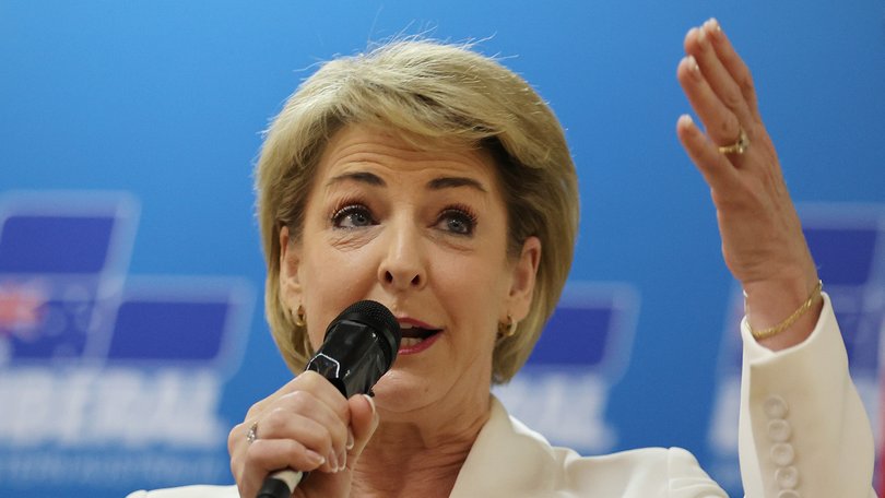 Michaelia Cash has been accused of lying and fear-mongering about production tax credit legislation. 