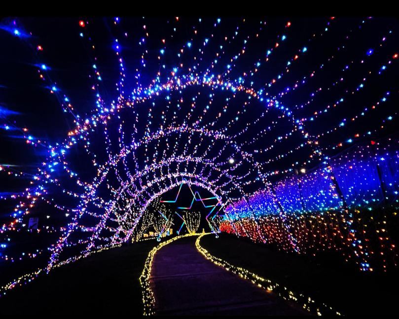 At 57 Swansona Avenue, Mount Annan, the Christmas lights are winding and colourful, making them great to take photos with.