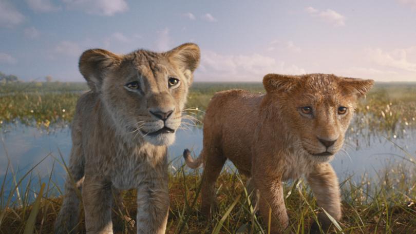 Mufasa: The Lion King is in cinemas on December 19.