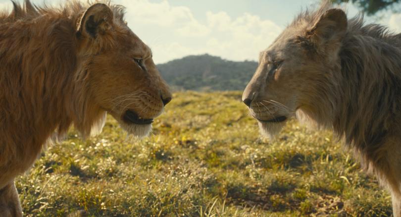 Mufasa: The Lion King is in cinemas on December 19.