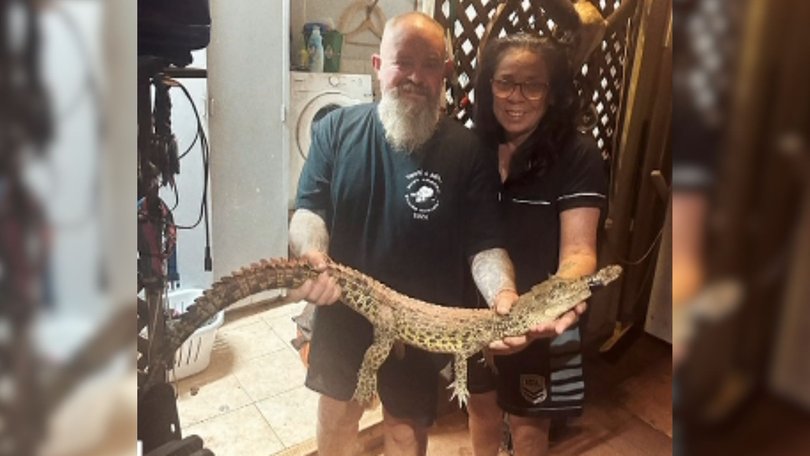 The Nhulunbuy couple said they were woken by a late-night disturbance.