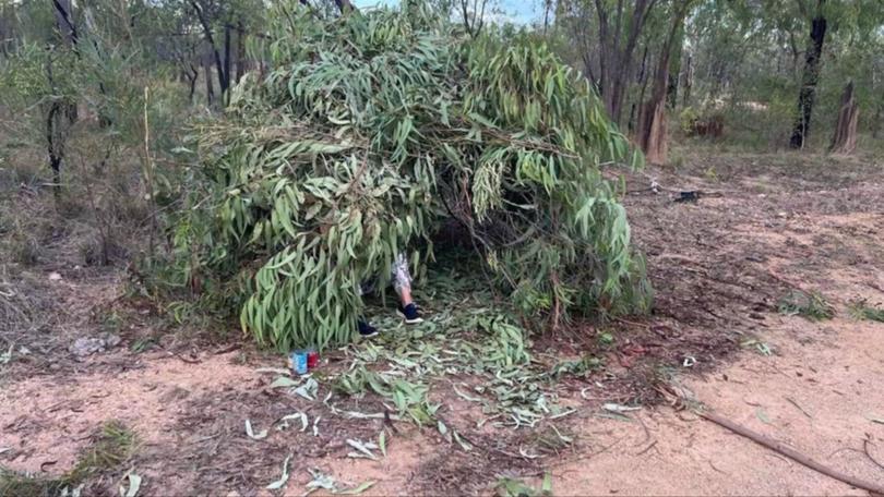 Tony and Lisa Fogg were forced to create crude shelters out of branches.