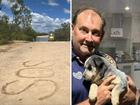 A Queensland couple have described the moment they thought they would die after becoming stranded for days in remote crocodile-infested territory.