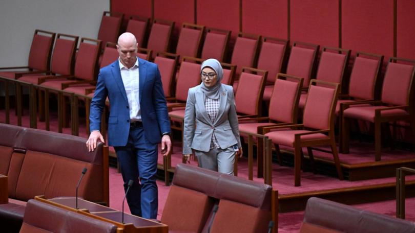 Senator Fatima Payman says she maintains Labor values despite crossing the floor over Palestine. 