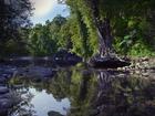 Devil's pool and Babinda Boulders tourist attraction near Cairns, Far North Queensland, Australia.