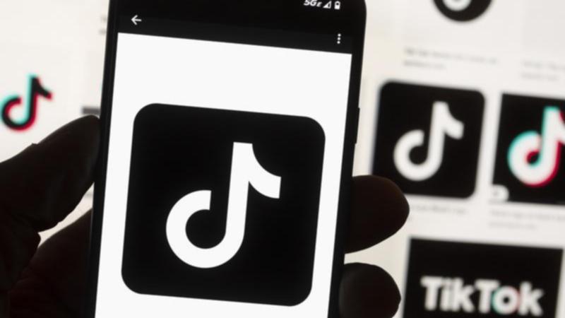 TikTok and parent company ByteDance have sought help from the Supreme Court’s to continue operation in the US. 