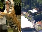 Dreamworld makes major change to beloved attraction after handler was mauled by tiger