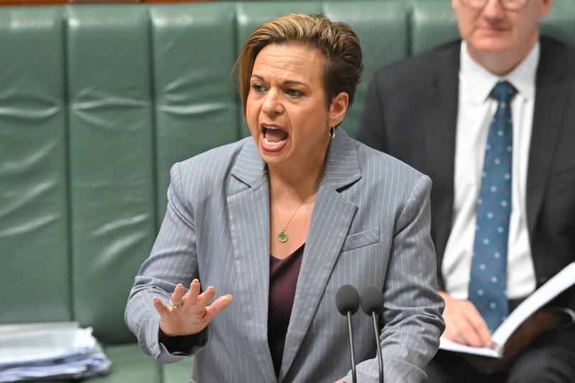 Minister for Communications Michelle Rowland.