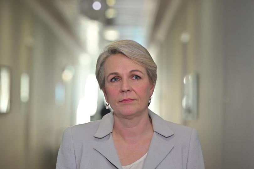 Minister for Environment Tanya Plibersek.