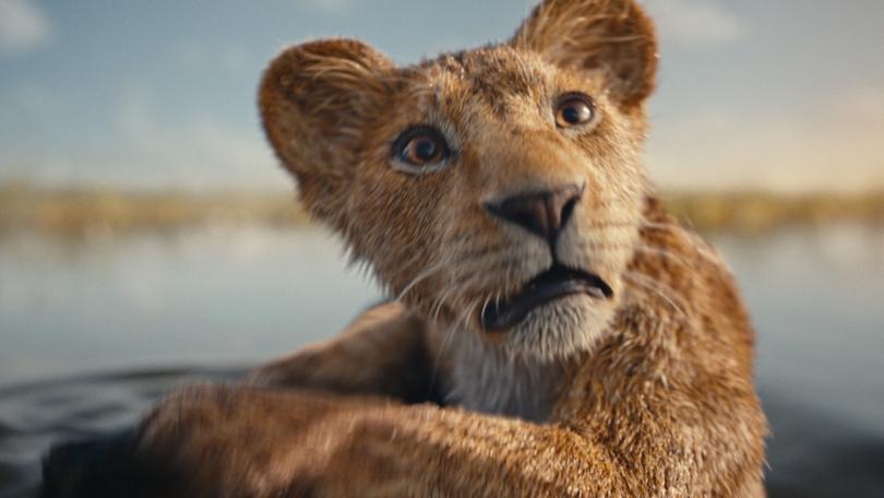 Mufasa: The Lion King is in cinemas on December 19.