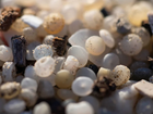 Plastic nurdles at La Pineda beach in Tarragona, Spain. File image.