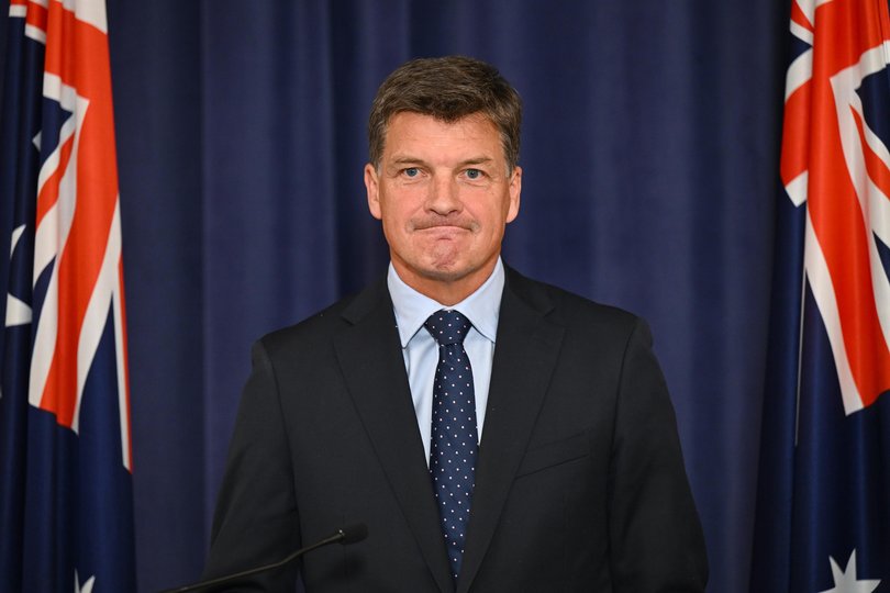 Shadow Treasurer Angus Taylor.