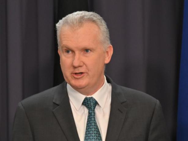 Home Affairs Minister Tony Burke has issued a new direction to his department.