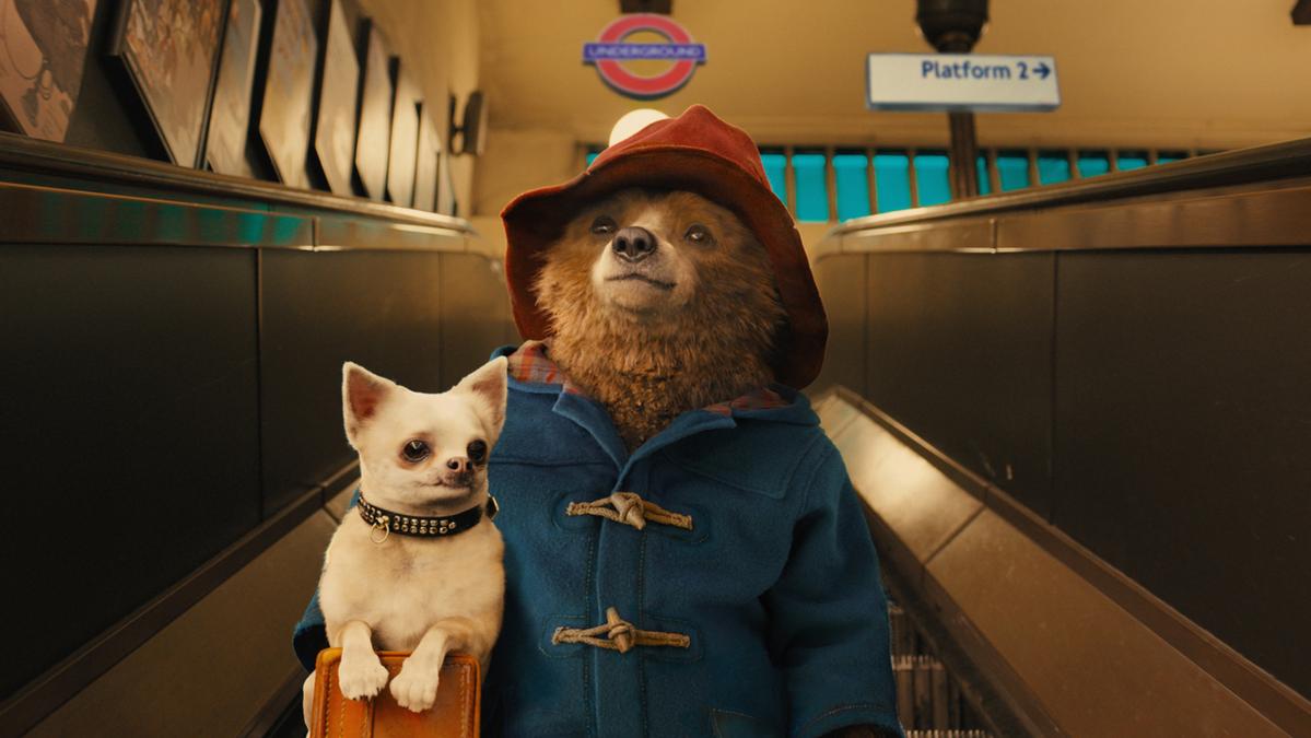 Why the Paddington movies make you believe in a better world