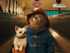 The third instalment of the Paddington movies is here. 