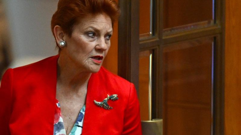 A judge found a social media post by Pauline Hanson breached the Racial Discrimination Act. (Lukas Coch/AAP PHOTOS)