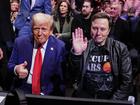 Elon Musk with Donald Trump at a recent UFC fight.